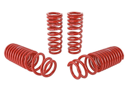 Skunk2 Racing Skunk2 90-93 Acura Integra Lowering Springs (2.50in - 2.25in.) (Set of 4)
