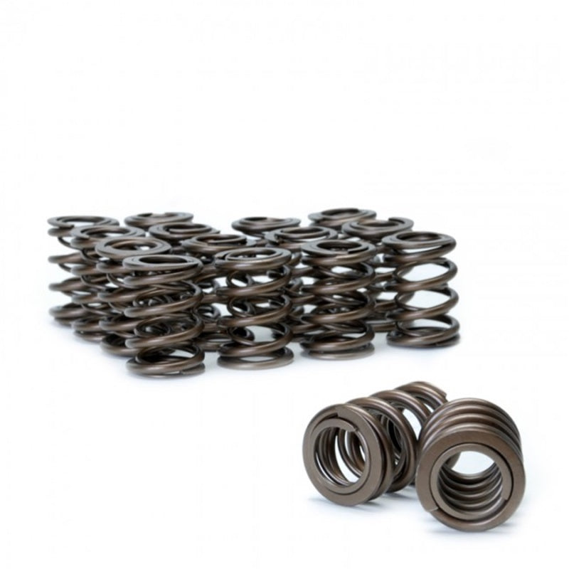 Skunk2 Racing Skunk2 Tuner Series Honda/Acura (K20/K24/F20C/F22C) DOHC VTEC Alpha Valve Spring Set (Dual Springs)