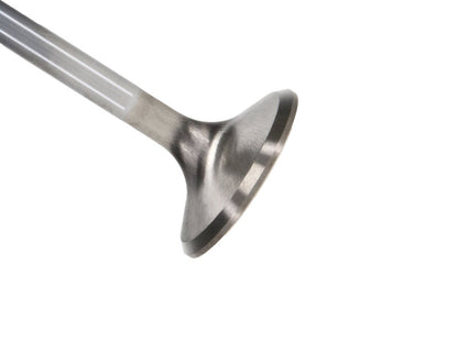 Manley Performance Manley Chrysler Hemi 6.1L w/ Triple Groove 1.625in Race Master Exhaust Valves (Set of 8)