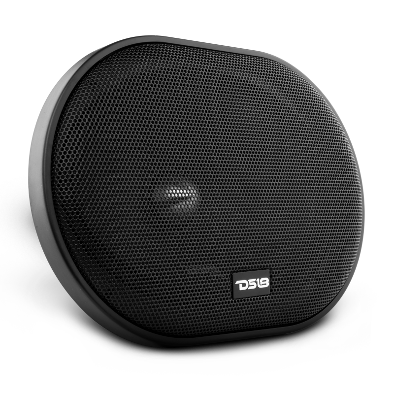 DS18 6x9in 250 Watts RMS 4 ohm Neodymium Full Range Loudspeaker