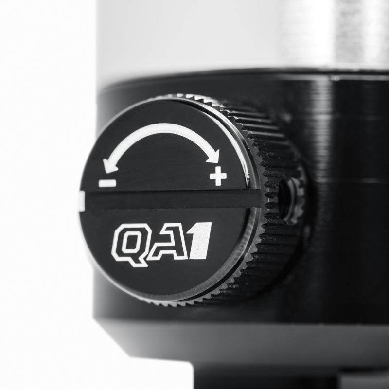 QA1 Proma Star Series 10in Adjustable Silver Spring Kit