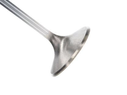 Manley Performance Manley Chrysler 426 Hemi Severe Duty Intake Valves (Set of 8)
