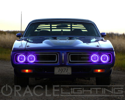 ORACLE Lighting Oracle Pre-Installed Lights 5.75 IN. Sealed Beam - UV/Purple Halo