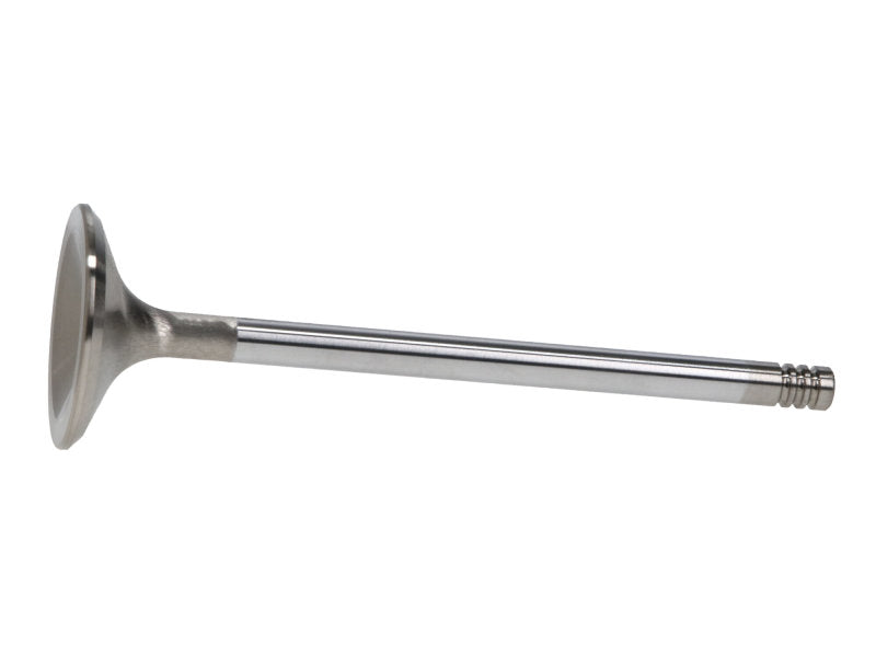 Manley Performance Manley Ford 6.2L 42mm Diameter 5.356in O/A Length Race Master Exhaust Valves (Set of 8)