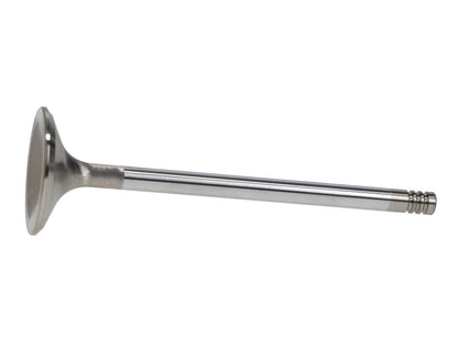 Manley Performance Manley Ford 6.2L 42mm Diameter 5.356in O/A Length Race Master Exhaust Valves (Set of 8)