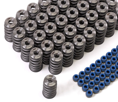 GSC Power Division GSC P-D Audi R8 V10 / Lamborghini Huracan V10 5.2L Valve Spring & Ti Retainer Kit (w/Seats & Seals)