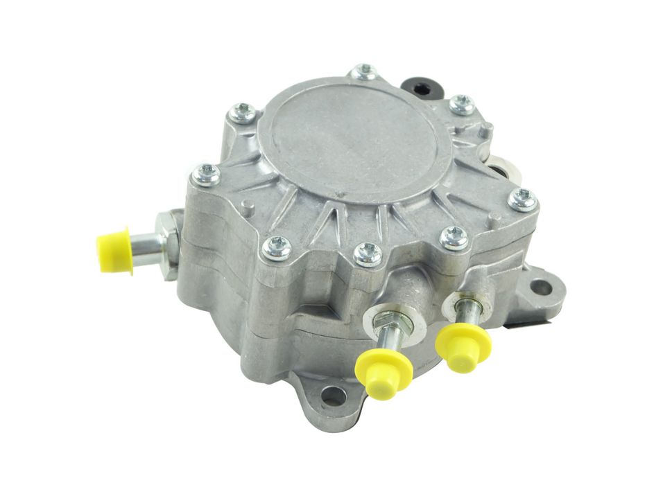 BOGAP A1916101 Vacuum Pump, Braking System