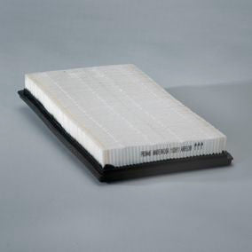 DONALDSON OFF P609445 Air Filter