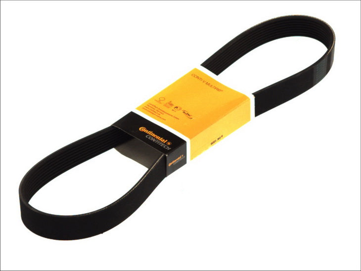 CONTITECH 8PK1825 V-Ribbed Belt