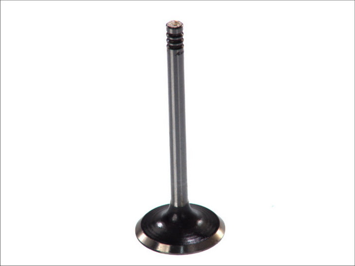 AE V94084 Intake Valve
