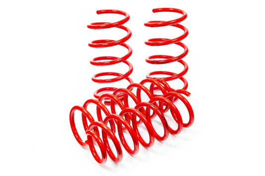 Evolve BMW i3 & i3s Lowering Springs