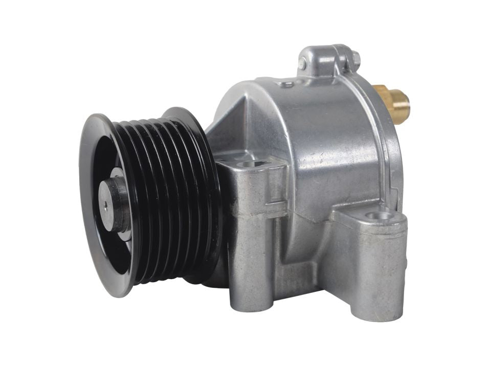 BOGAP F1916100 Vacuum Pump, Braking System