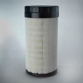 DONALDSON OFF P785396 Air Filter