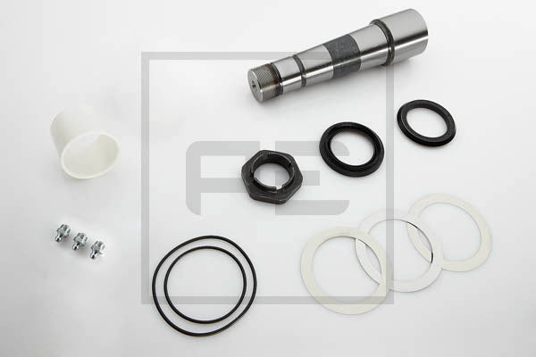 PETERS 141.139-00 Kingpin Repair Kit