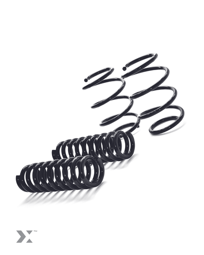 MMX Performance MINI F-Chassis Lowering Spring Set