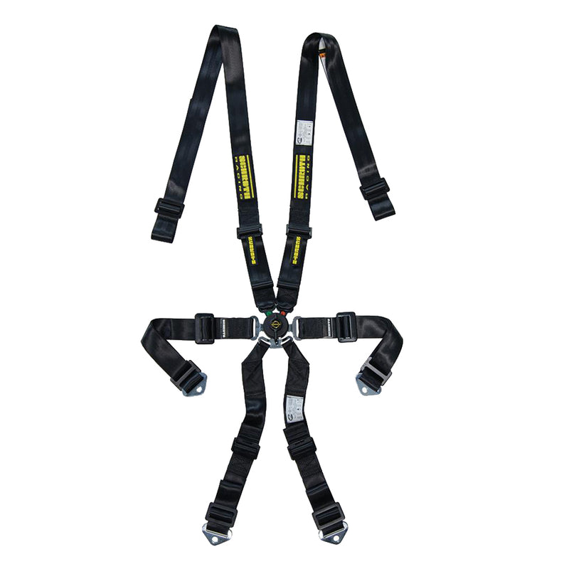 Schroth Racing 94700-1 Profi Porsche 996/997 2x2 - FHR Specific - Blue