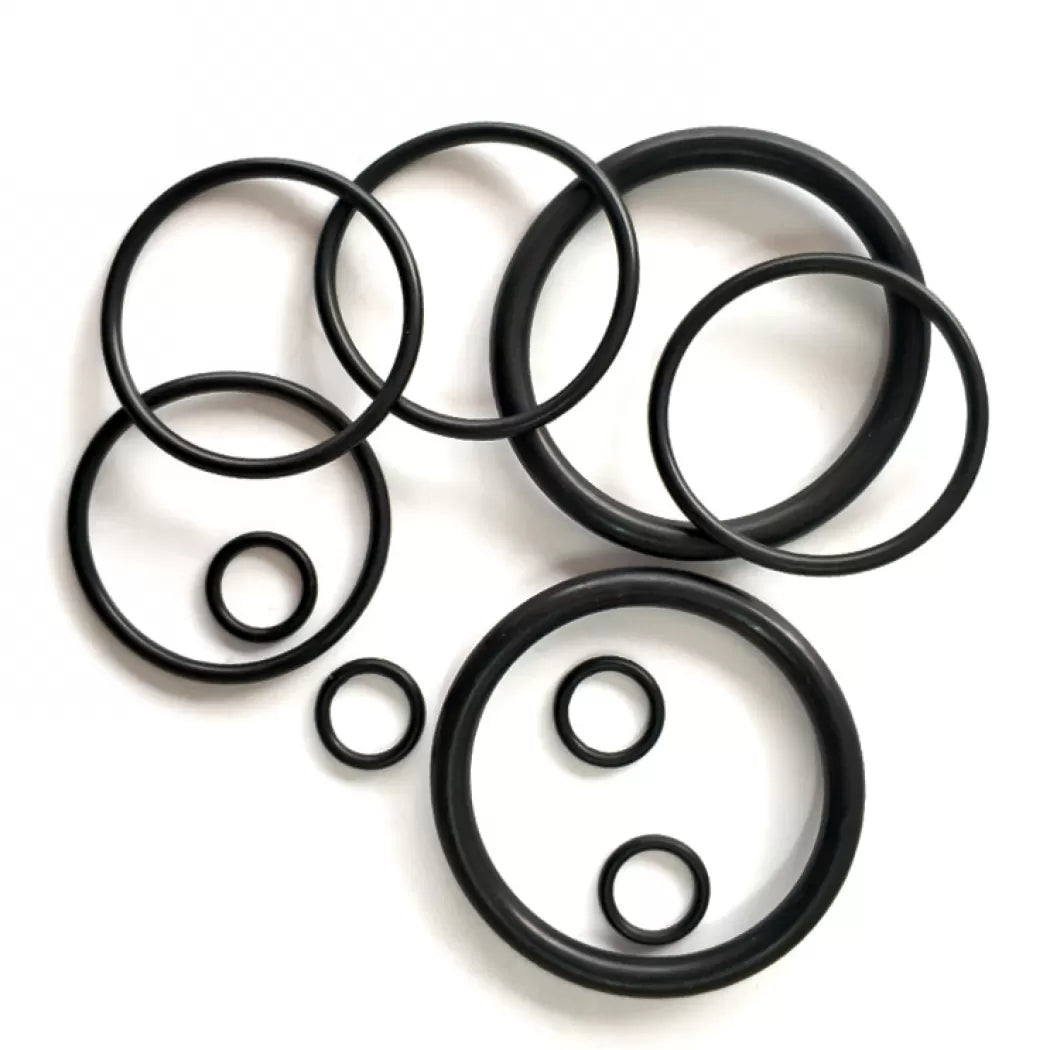 Deatschwerks ORING-NISSIDE Nissan side feed O-ring kit