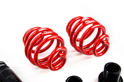 MTS Technik XMTSGWBM01-C COMFORT COILOVER KIT (INOX) FOR BMW 3 COUPE (E36)