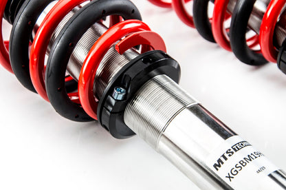 MTS Technik XMTSGWBM101-S STANCE COILOVER KIT W/ CAMBER ADJUST TOP MOUNTS (INOX) FOR BMW 5 (E39)