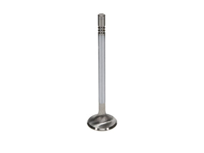 Manley Performance Manley Ford Modular Coyote 5.0L Gen III Race Master Series Exhaust Valve - 1.260in Dia
