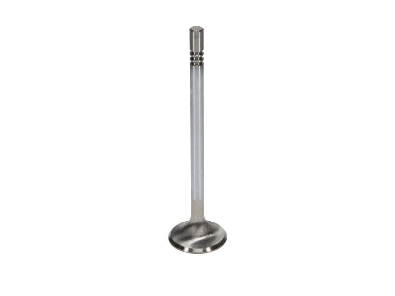 Manley Performance Manley Ford Coyote 5.0L Gen. 1/2 31mm Diameter 4.274in. Length Race Master Exhaust Valves (Set of 8)