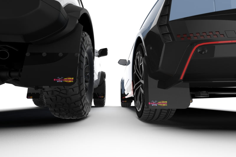 Rally Armor 21-25 Ford Bronco RR-ST Rock Rail-Steel Rear Bumper Black Mud Flap BCE Pink Logo