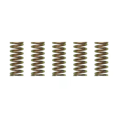 Wiseco XR400/TRX250/ATC250R Clutch Spring Kit