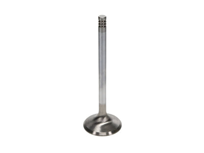 Manley Performance Manley Chrysler Hemi 6.1L 1.625in Race Master B/L Exhaust Valves (Set of 8)