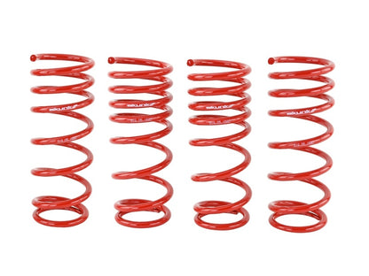 Skunk2 Racing Skunk2 00-04 Honda S2000 Lowering Springs (2.00in. - 1.80in.) (Set of 4)