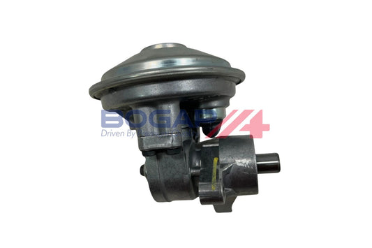 BOGAP G1916102 Vacuum Pump, Braking System