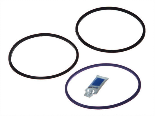 REINZ 15-39516-01 Cylinder Liner Gasket Set