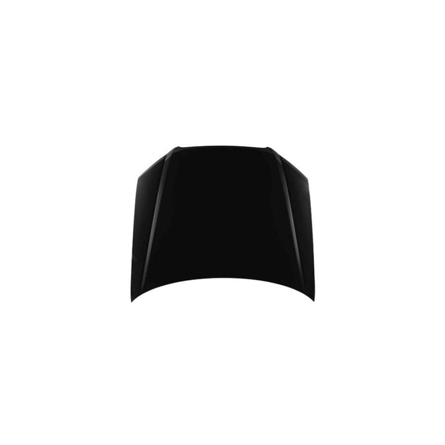 Abakus 00308100 Bonnet for Audi A4