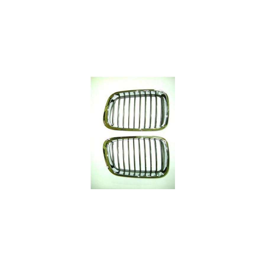 Abakus 00407485 Radiator Grille for BMW 3 Coupe (E46)