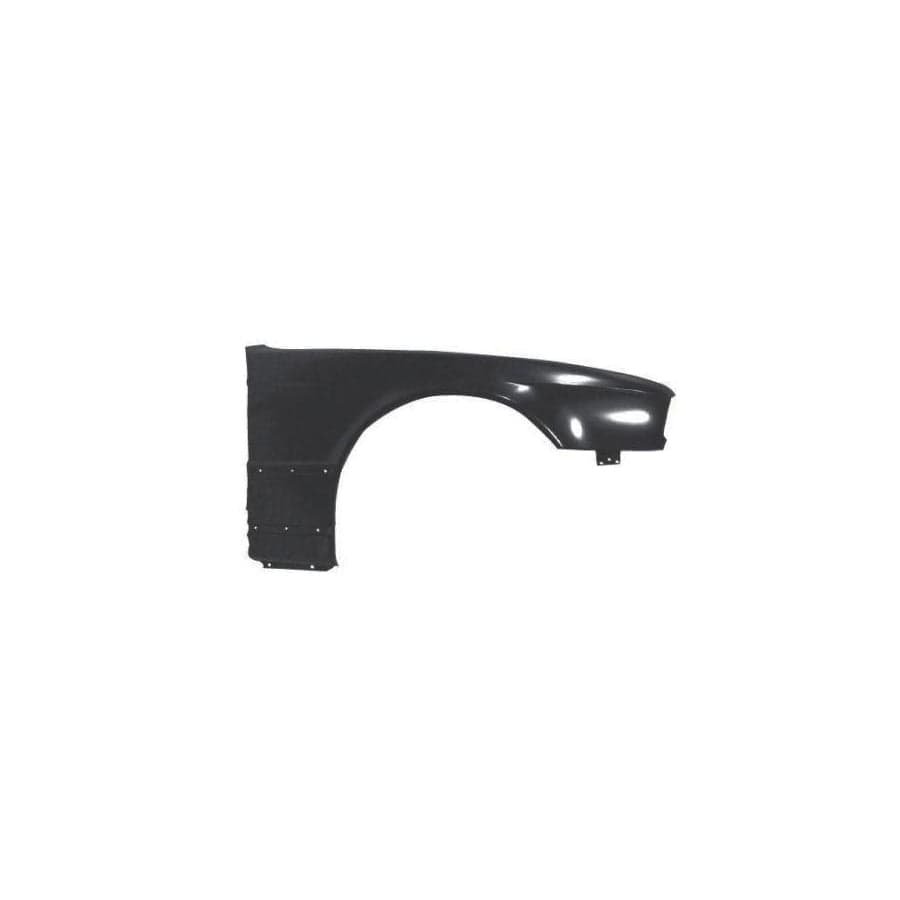 Abakus 00413202 Wing Fender for BMW 5 Series