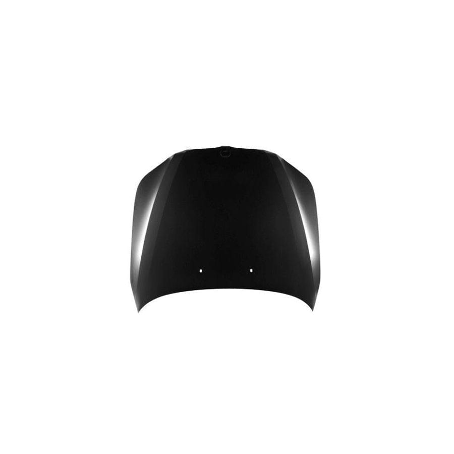 Abakus 00416100 Bonnet for BMW 5 Series