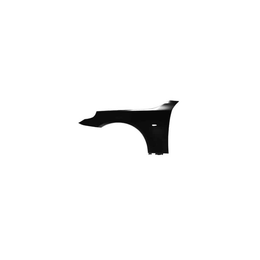 Abakus 00416211 Wing Fender for BMW 5 Series