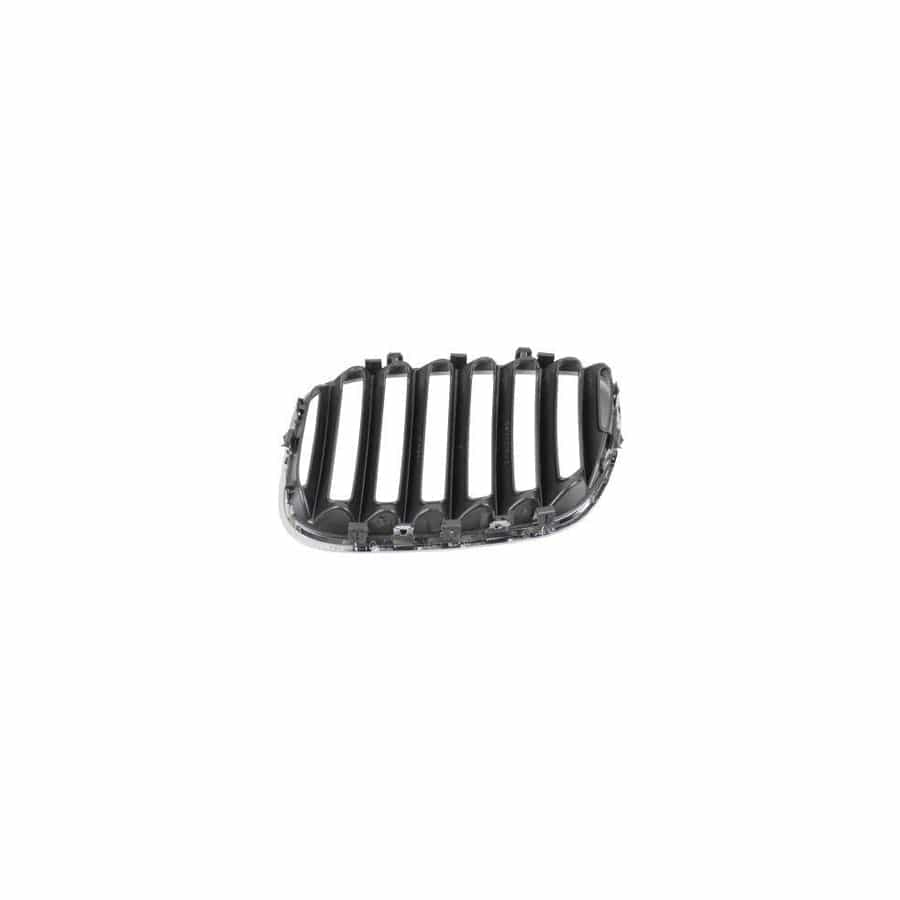 Abakus 00425482 Radiator Grille for BMW X5 (E53)