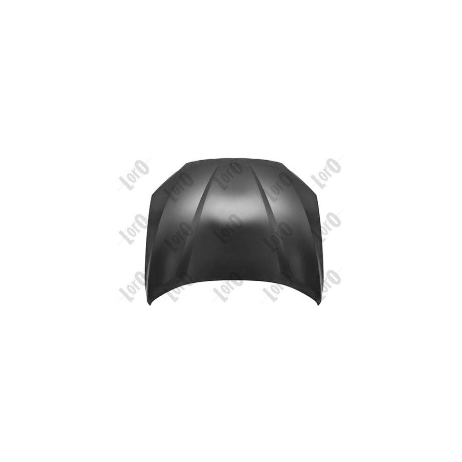 Abakus 00430100 Bonnet for BMW X1 (E84)