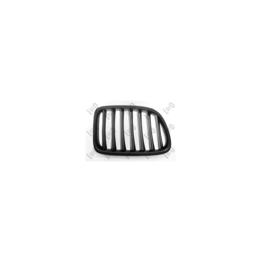 Abakus 00430404 Radiator Grille for BMW X1 (E84)