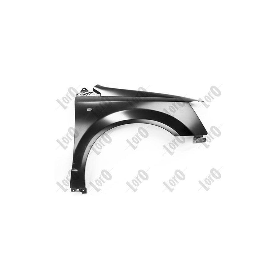 Abakus 00808202 Wing Fender for Chrysler Grand Voyager V (Rt)