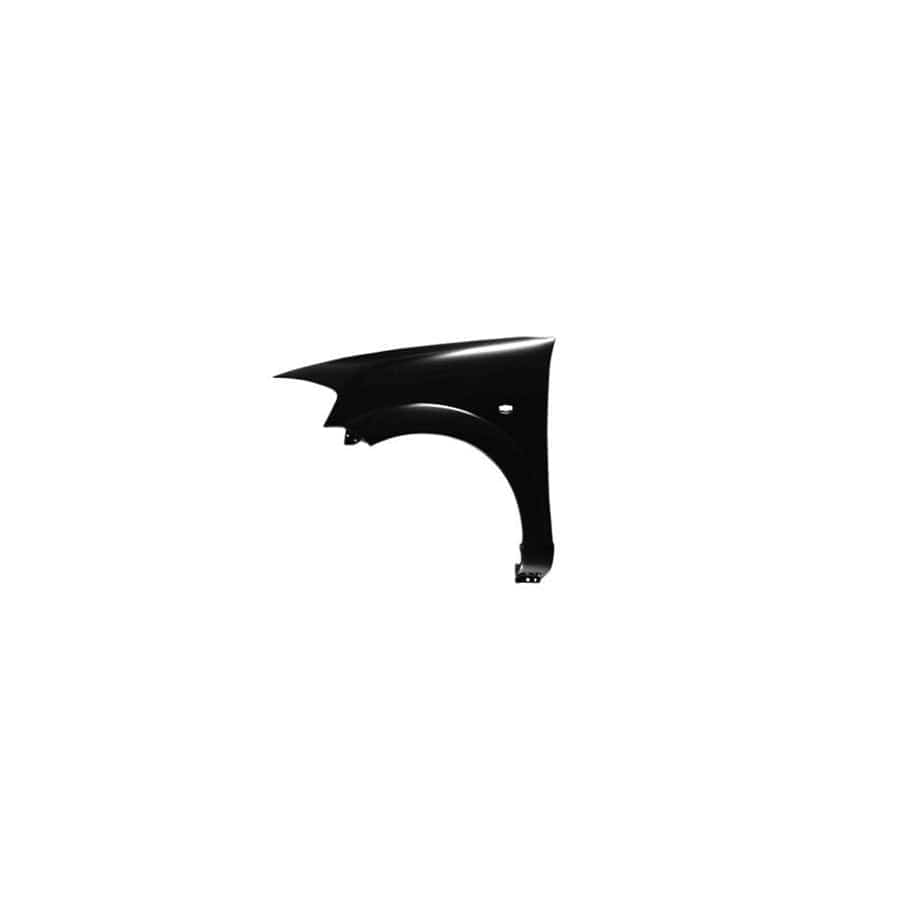 Abakus 00912211 Wing Fender for Citroen C3 I Hatchback (Fc, Fn)