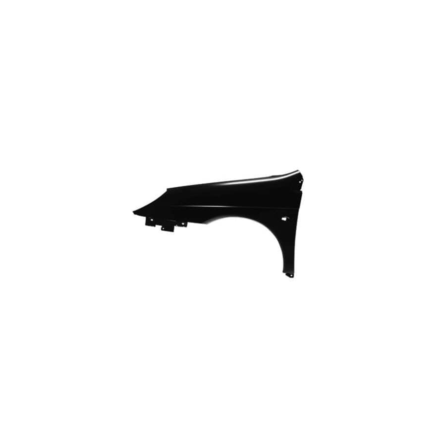 Abakus 00918201 Wing Fender for Citroen C5