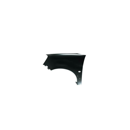 Abakus 00924261 Wing Fender for Citroen Berlingo