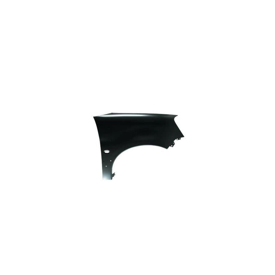 Abakus 00924262 Wing Fender for Citroen Berlingo