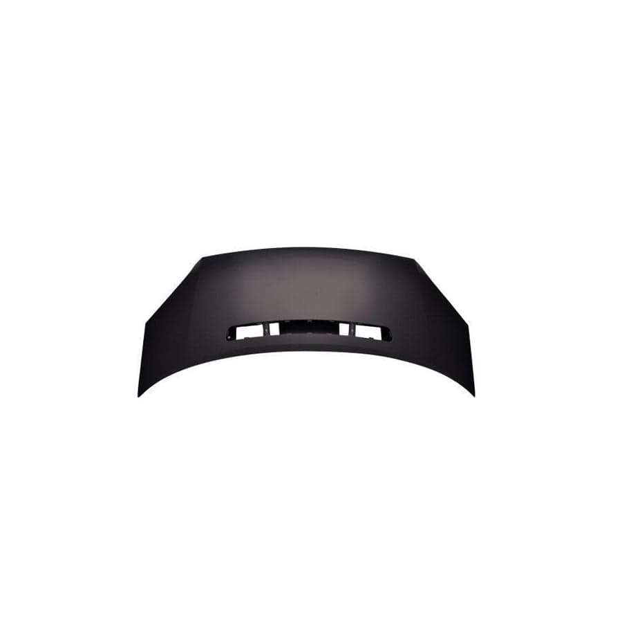 Abakus 01741100 Bonnet for Ford Transit