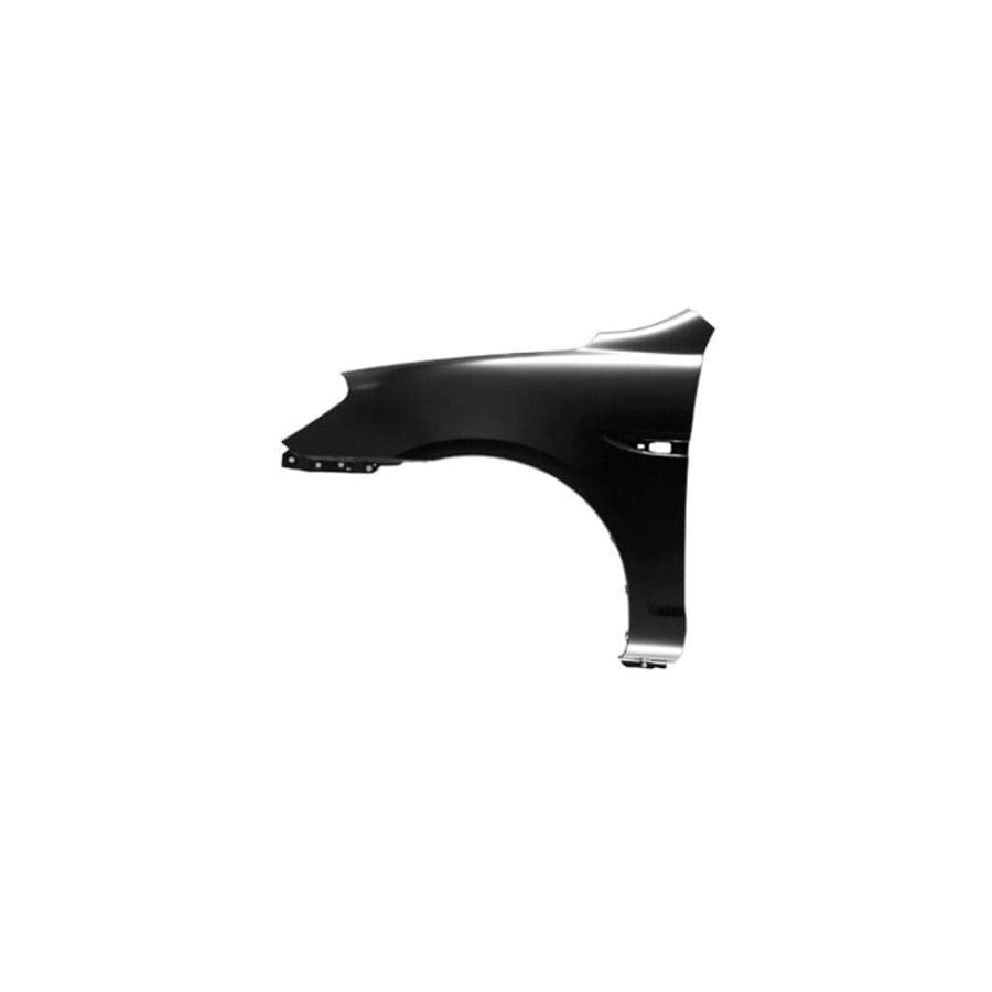 Abakus 01908211 Wing Fender for Hyundai Accent