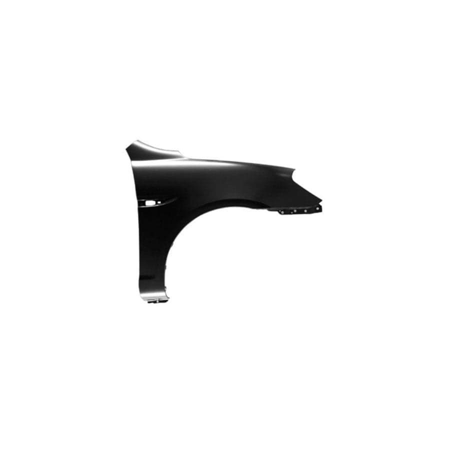 Abakus 01908212 Wing Fender for Hyundai Accent