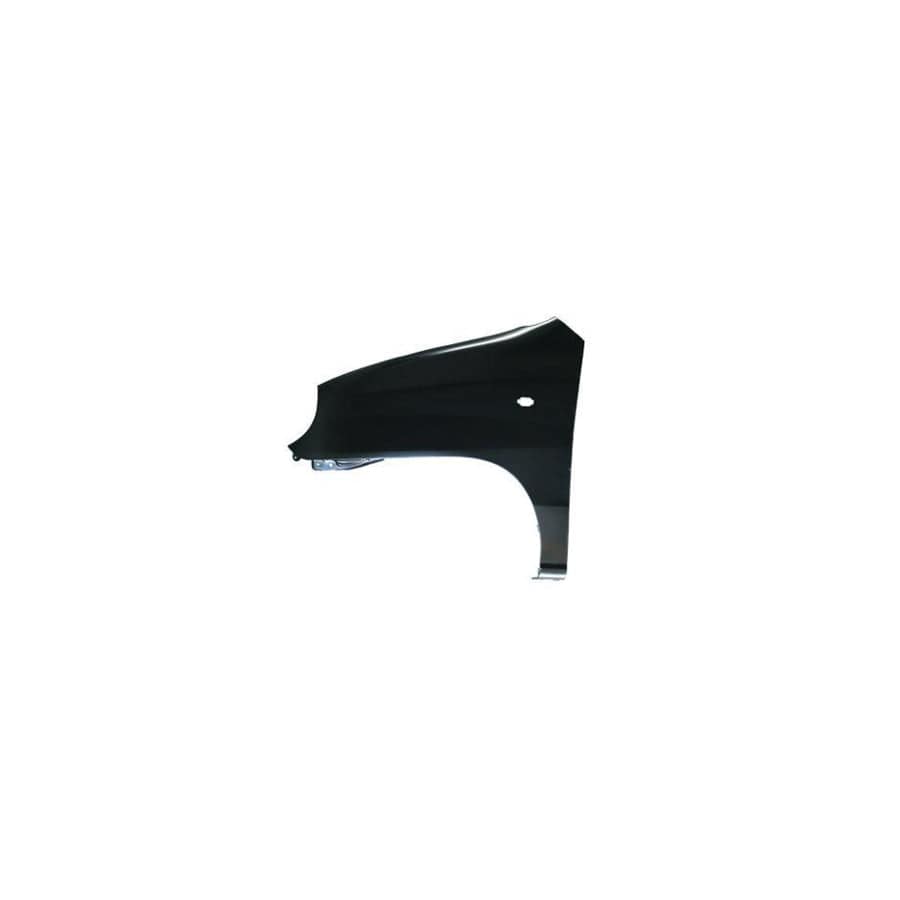 Abakus 01918211 Wing Fender for Hyundai Amica / Atoz (MX)