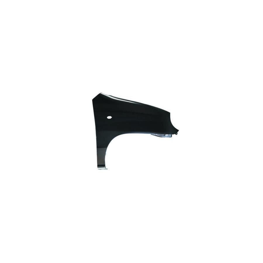 Abakus 01918212 Wing Fender for Hyundai Amica / Atoz (MX)