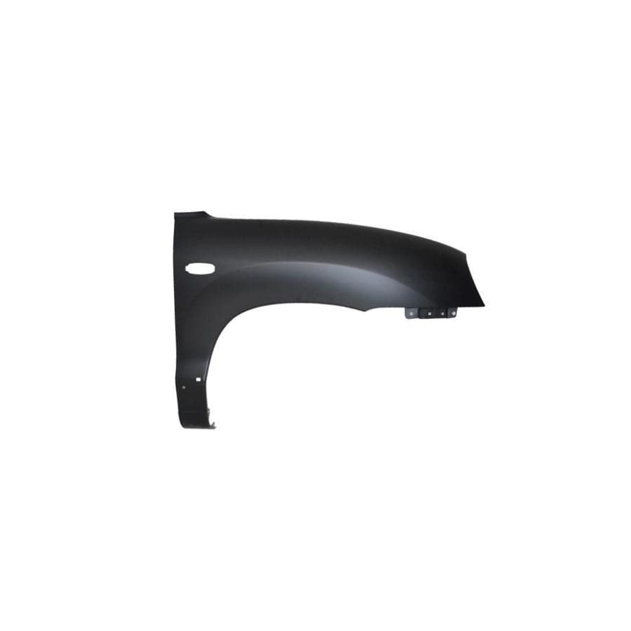 Abakus 01930211 Wing Fender for Hyundai Santa Fe I (Sm)